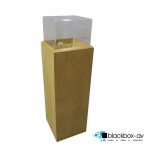 Audio Donation Box