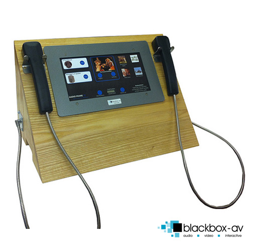 Audio Frame 15 The Interpretation Shop from blackboxav