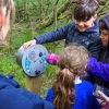 U-Turn Round at Curraghs Wildlife Park (square)