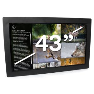 43Inch All in One Touchscreen 2023