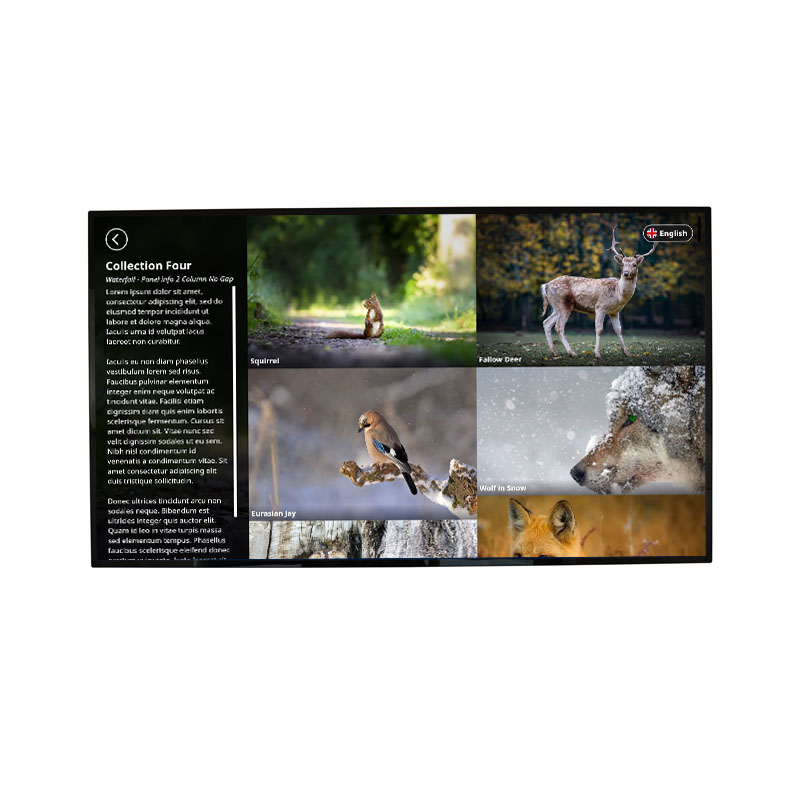 Android Mediascreen 43Inch front Android Mediascreen 43Inch front