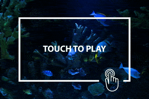 ExhibitLoopTouchGIF ExhibitLoopTouchGIF