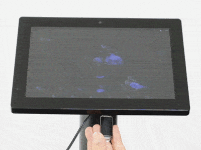 ExhibitLoopUploadGIF ExhibitLoopUploadGIF